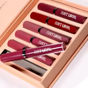 Liquid Lipstick Set / Wholesale Only 🇨🇳