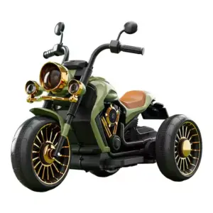 Motorcycle Electric / Wholesale Only 🇨🇳