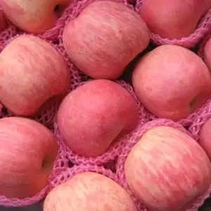 Supplier Apples Fresh / Wholesale Only 🇨🇳