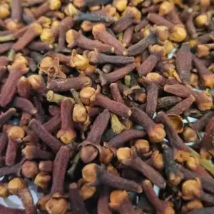 Vietnam Dried Cloves / Wholesale Only 🇮🇳