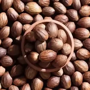 Grown Raw Nutmeg / Wholesale Only 🇮🇳