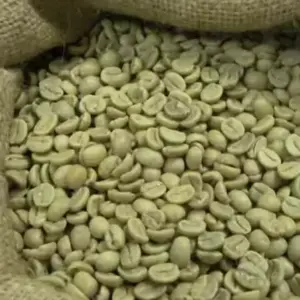 Vietnam Coffee bean / Wholesale Only 🇮🇳