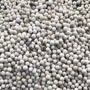 Dried White Pepper / Wholesale Only 🇮🇳