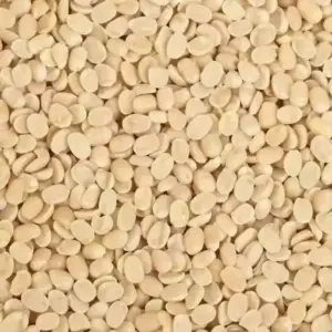 Whole Urud Dal (Pulses) / Wholesale Only 🇮🇳