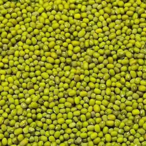 Moong Dal Pulses Grown / Wholesale Only 🇮🇳