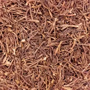 Vietnam Dried Cloves / Wholesale Only 🇮🇳
