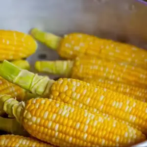 Quality Yellow Corn / Wholesale Only 🇮🇳