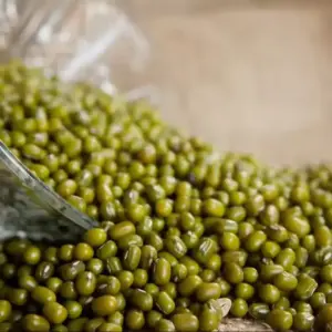 Green Mung Beans / Wholesale Only 🇮🇳