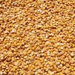 Quality Pigeon Peas / Wholesale Only 🇮🇳